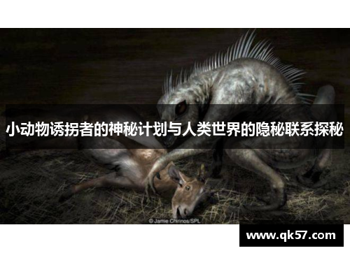 小动物诱拐者的神秘计划与人类世界的隐秘联系探秘